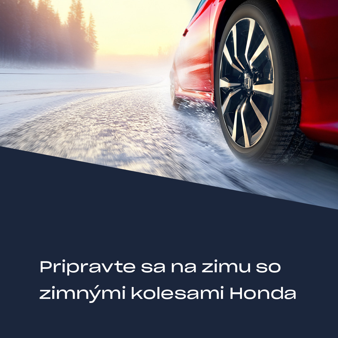 zimná cesta